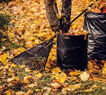 Outdoors & Gardening